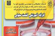 کارگاه آموزشی کشت سلولی در  دانشکده فناوری های نوین پزشکی دانشگاه علوم پزشکی تهران برگزار می شود