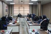 برگزاری سی و دومین نشست شورای بین‌الملل دانشگاه علوم پزشکی تهران 