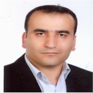 Dr. Reza Faridi Majidi