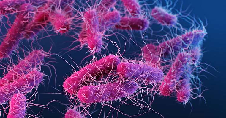 مقاومت آنتی‌بیوتیکی چیست